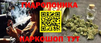 тгк Краснодар
