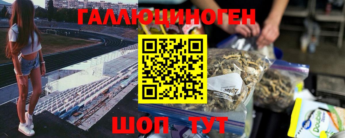 Благовещенск  Псилоцибиновые грибы MAGIC MUSHROOMS  Вход с VPN  Галлюциногенные грибы GOLDEN TEACHER 